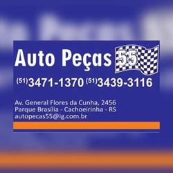 Auto Peças 55 - Parque Florido