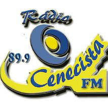 Rádio Cenecista de Picuí