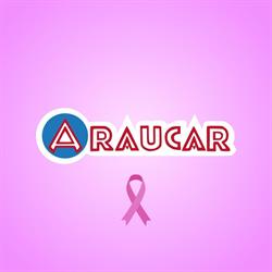 Arau Car Locação de Veículos Ltda