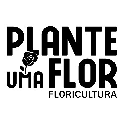 Floricultura Plante Uma Flor
