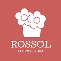 Floricultura Rossol
