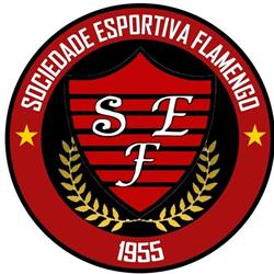 Sociedade Esportiva Flamengo