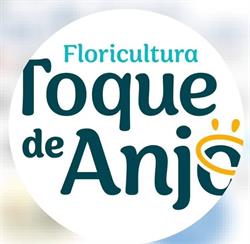 Floricultura Toque de Anjo Ltda