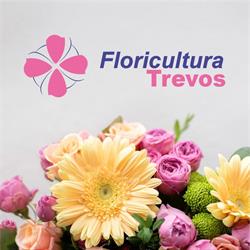 Trevos Floricultura