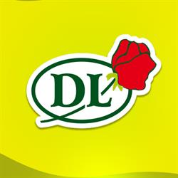 Floricultura Flores e Decorações DL