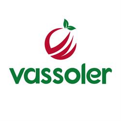 Comercial de Frutas Vassoler Ltda