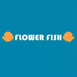 Flower Fish Aquários Ltda - Floresta