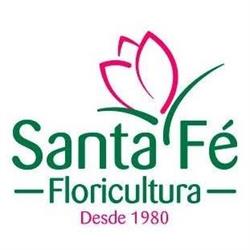Atacado e Varejo de Flores e Plantas Floricultura Santa Fé