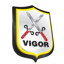 Vigor Vigilância S/c - Águas Belas