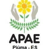 Apae-Associação de Pais e Amigos Dos Excepcionais