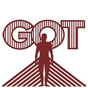 Got-Grupo de Ortopedia e Traumatologia