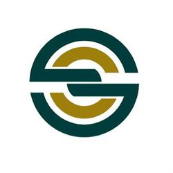 Gold Service Administração e Serviços Gerais Ltda