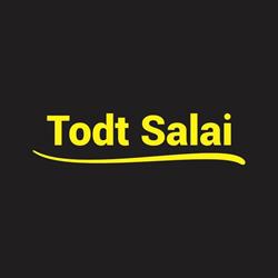 Todt Salai