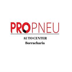 Borracharia Pro-pneu Ltda - Chico De Paulo