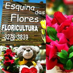 Floricultura Esquina Das Flores - Barra Rio Cerro