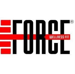 Force Fitness Academia