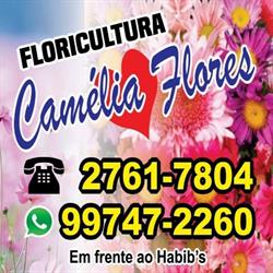 Camélia Flores