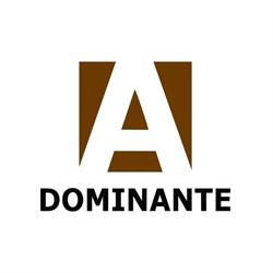 A Dominante Calçados Ltda - Vila Matias