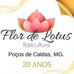 Floricultura Flor de Lotus