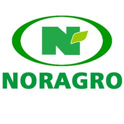Noragro Nordeste Agrícola - Picarra