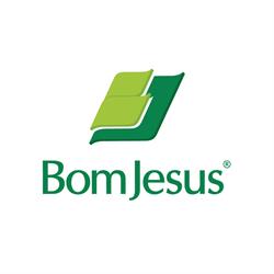 Sementes Bom Jesus - Vl Aurora