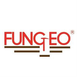 FUNGEO-Fundações Geologia Ltda