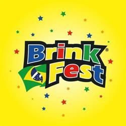 Brink Fest Brinquedos