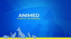 Animed Hospital Veterinário - 24 horas