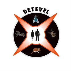 Detevel Dedetizadora Cascavel