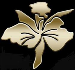 Óptica Orquídea Sumaré Centro