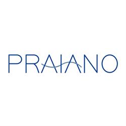 Praiano Palace Hotel - Meireles