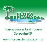 Flora Esplanada Paisagismo E Jardinagem