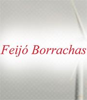 Feijo Borrachas Plasticos Ltda