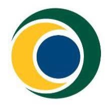 I b v Instituto Brasileiro Da Visão