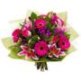 Buque pink