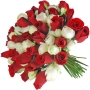 Floricultura Visaflores