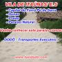 City-Tour - Empresas -