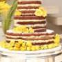 BOLOS DE CASAMENTO NAKED CAKE
