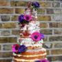 BOLOS DE CASAMENTO NAKED CAKE