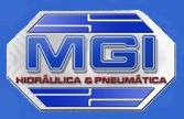 MGI CONEXOES COM. CONEXÕES HIDRÁULICAS E PNEUMÁTICAS LTDA