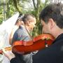 Músicos para csamento - Violinista