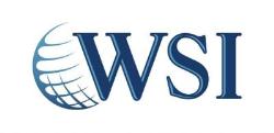 WSI Marketing na Internet