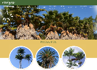 Site do Raízes Marambaia