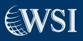WSI Consultores