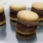 Bisccotino