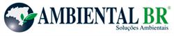Desentupidora Ambiental BR