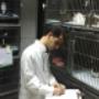 Plantão Veterinário Hospital (81) 3236-2190