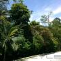 Enviado por visitante em 14/03/2016 - Foto do local