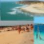 Enviado por visitante em 04/03/2017