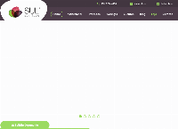 Site do Sul Acrílicos